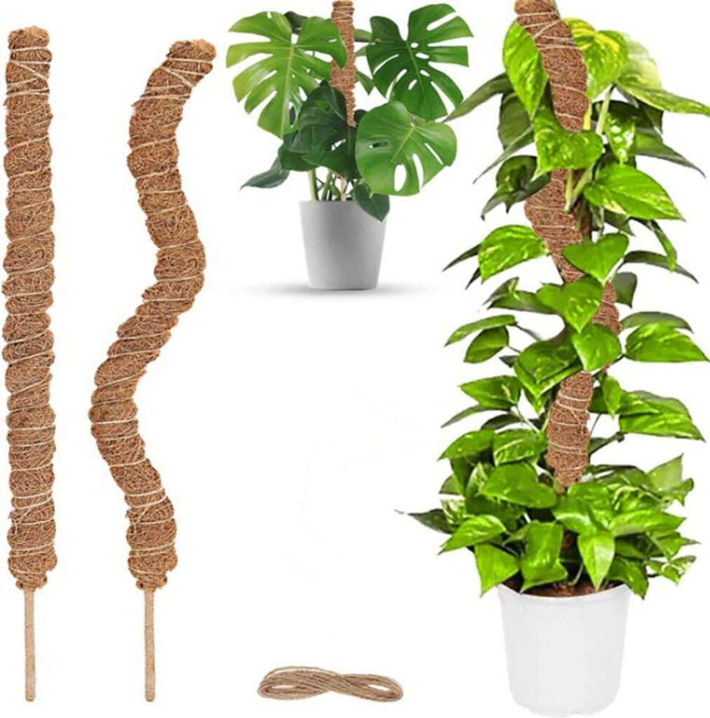 2 Stück Rankhilfe, 60cm Rankhilfe für Pflanzen, Pflanzstab Produktbild 