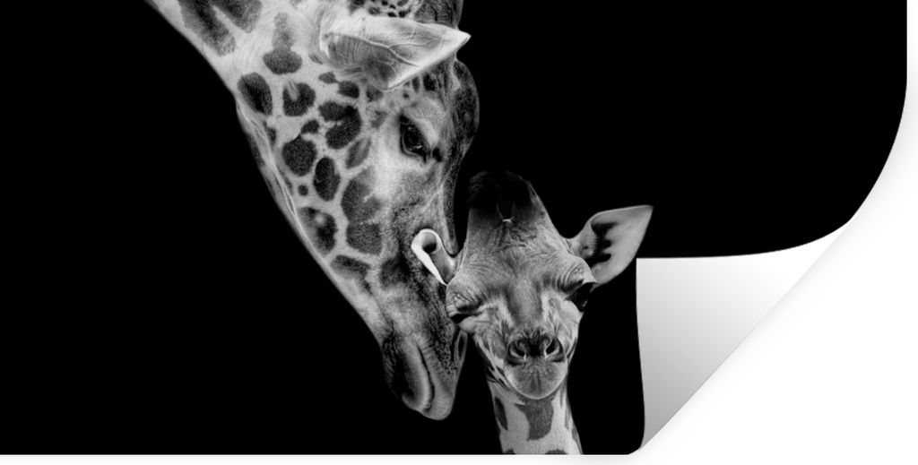MuchoWow Wandtattoo Wandsticker Wandaufkleber Porträt - Giraffe - Tiere - Schwarz - Weiß 120x60 cm Selbstklebend und Repositionierbar - Sticker...