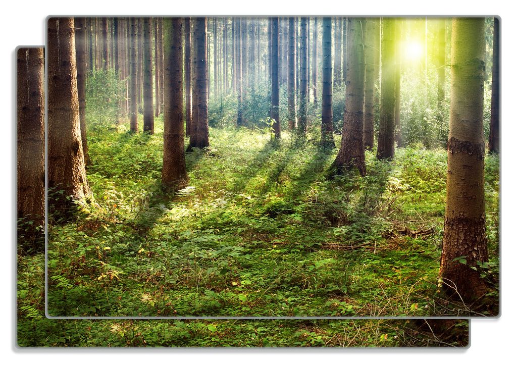 Wallario Frühstücksbrettchen 2er Set aus Glas, je 20 x 30 Produktbild 