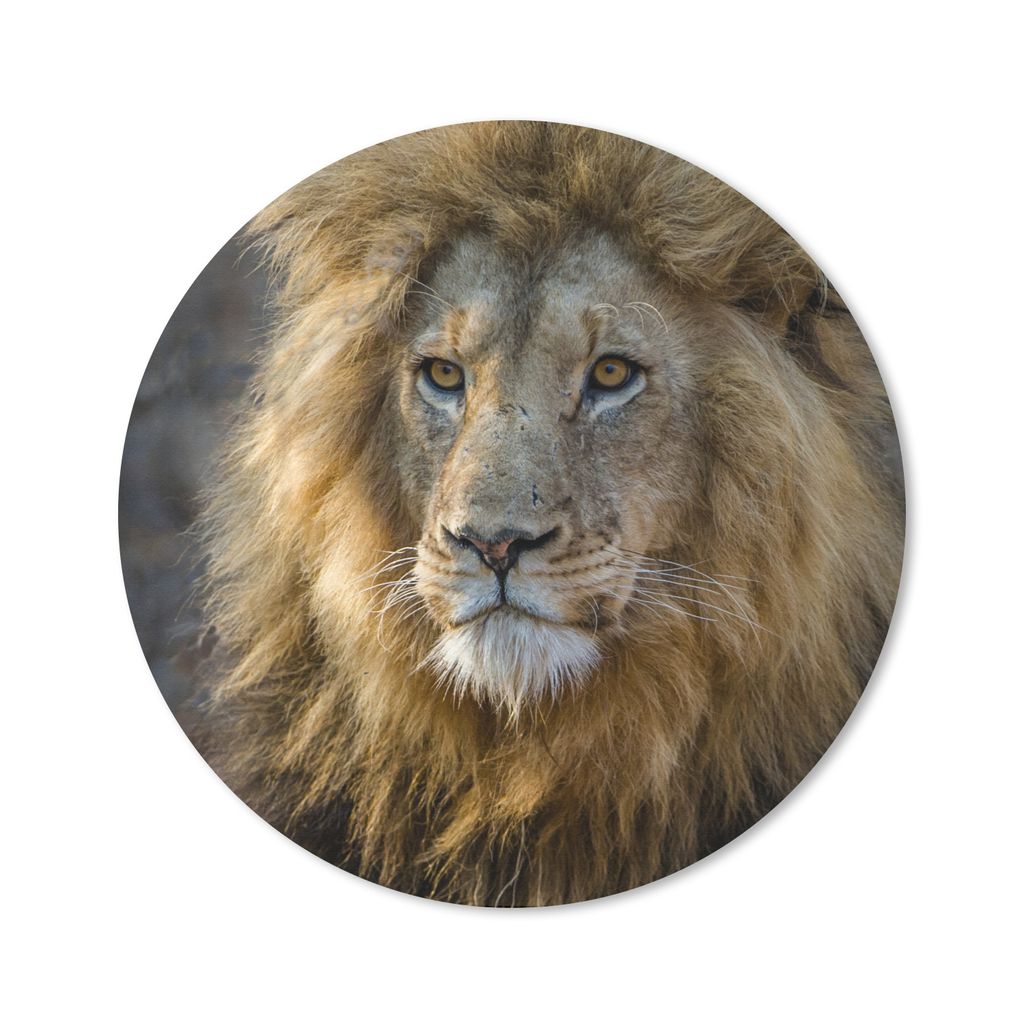 MuchoWow Mauspad Mousepad Löwe - Porträt - Wild 30x30 cm - Mousepads - Maus Mat - Pad - Mausunterlage - Tischunterlage - Schreibtischmatten