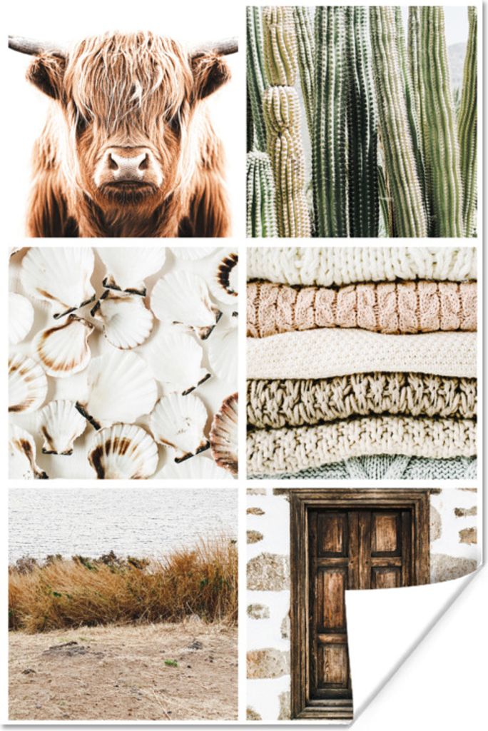 MuchoWow Poster Schottischer Highlander - Muscheln - Kaktus 60x90 cm - Wanddekoration