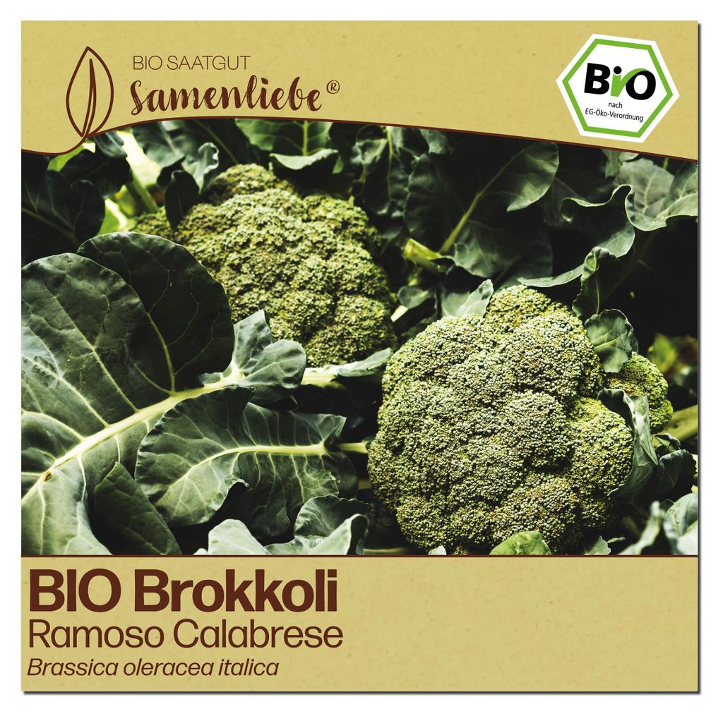 Samenliebe  Brokkoli Samen | Ramoso - winterhart & Produktbild 