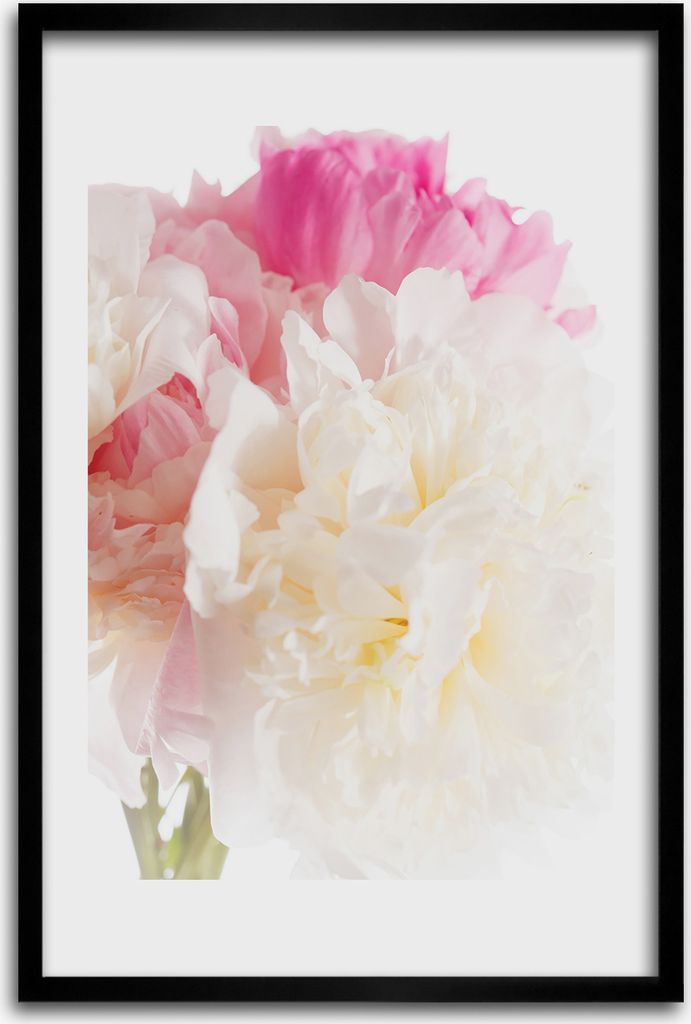 Bild - Bilderrahmen - 40 cm x 60 cm - MDF - Rahmen - Wandkunst - Pfingstrose
