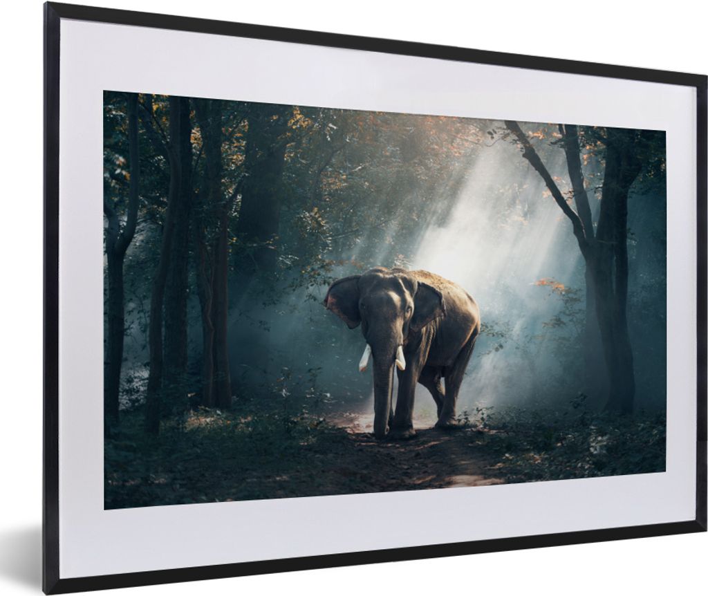 MuchoWow MuchoWow Gerahmtes Poster Elefant - Wald - Sonne 60x40 cm - Poster mit zchwarzem Bilderrahmen - Schlafzimmer - Plakat in Rahmen - Drucken
