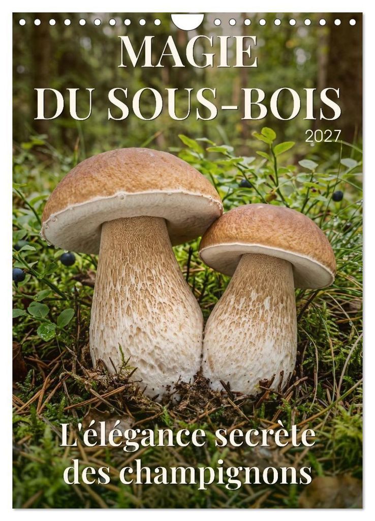 MAGIE DU SOUS-BOIS (Calendrier mural 2027 DIN A4 horizontal), CALVENDO calendrier mensuel