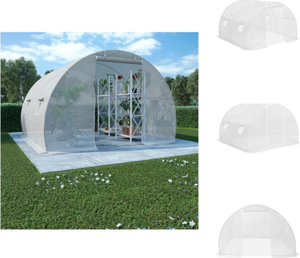 vidaXL Gewächshaus 9m² 300x300x200 cm - Gewächshäuser