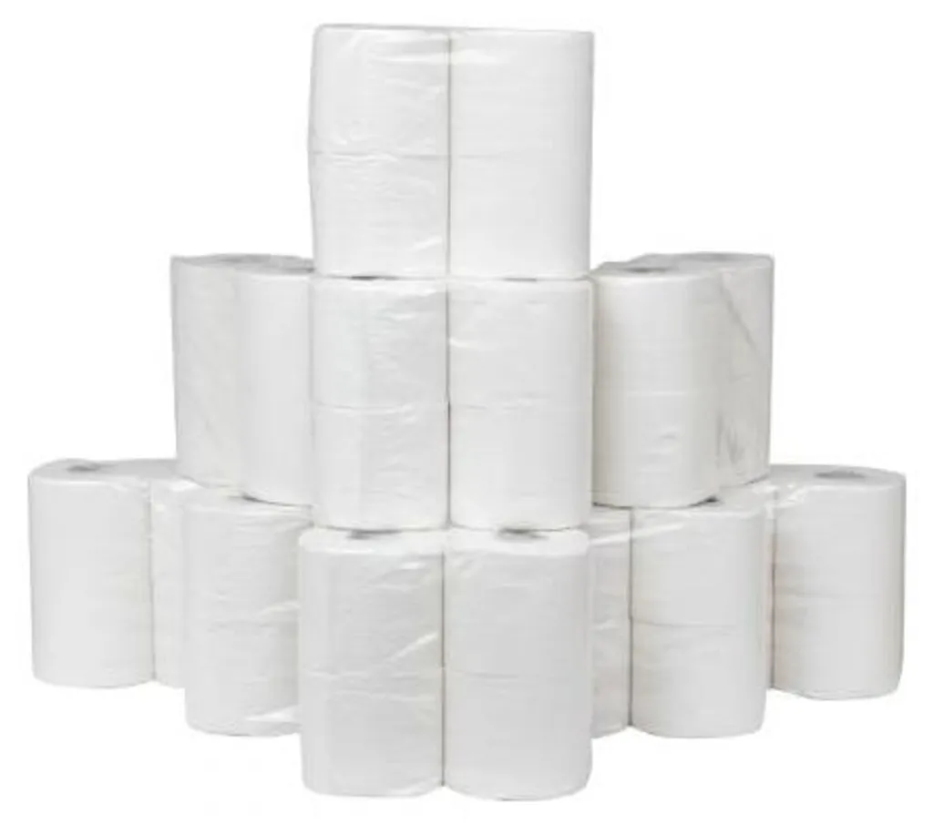 Papier toilette 40 rouleaux Topgear Pro format familial pour toute la maison