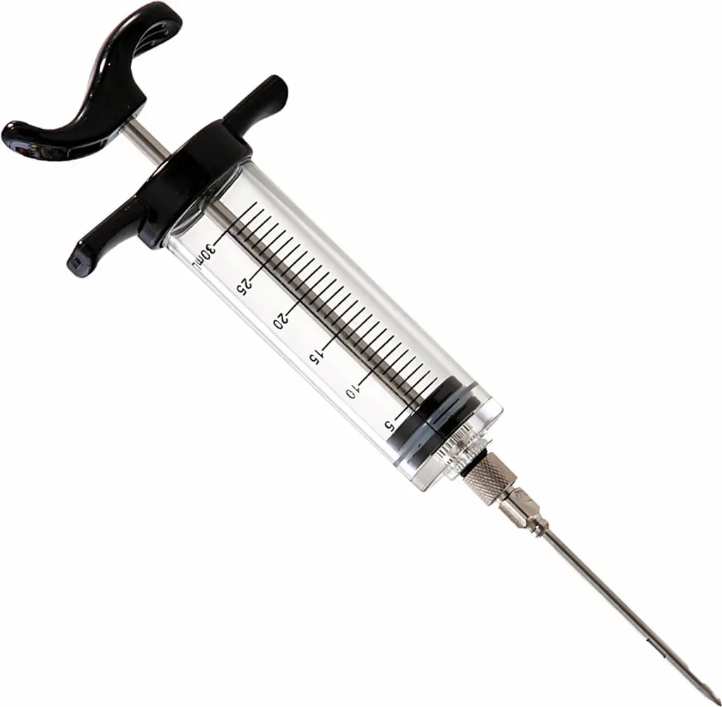 Ustensile de cuisine pour mariner les grillades, seringue 30 ml pratique