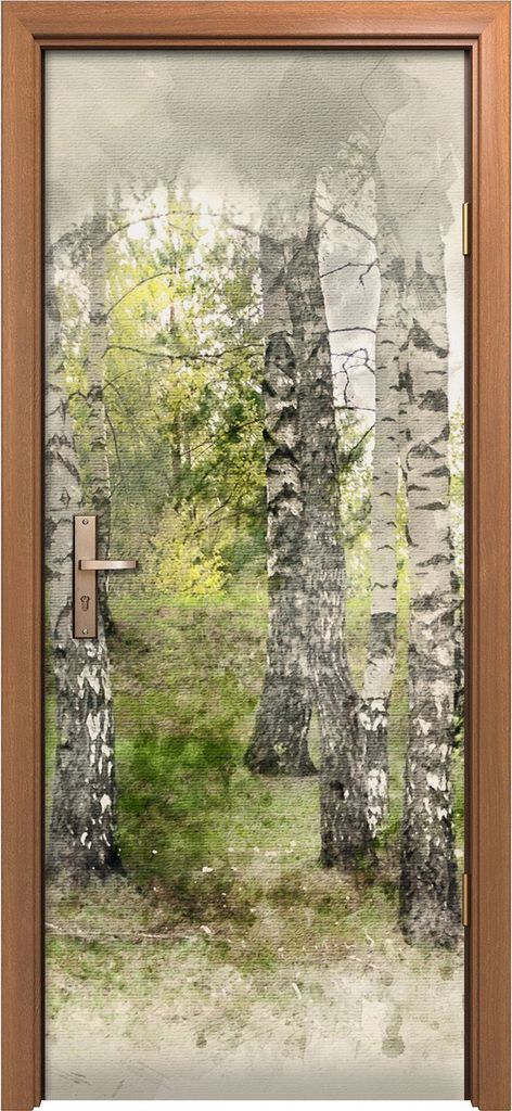Türposter 80x200 cm Türaufkleber Türtapete Türfolie Klebefolie Foto Birkenhain Aquarell Wald