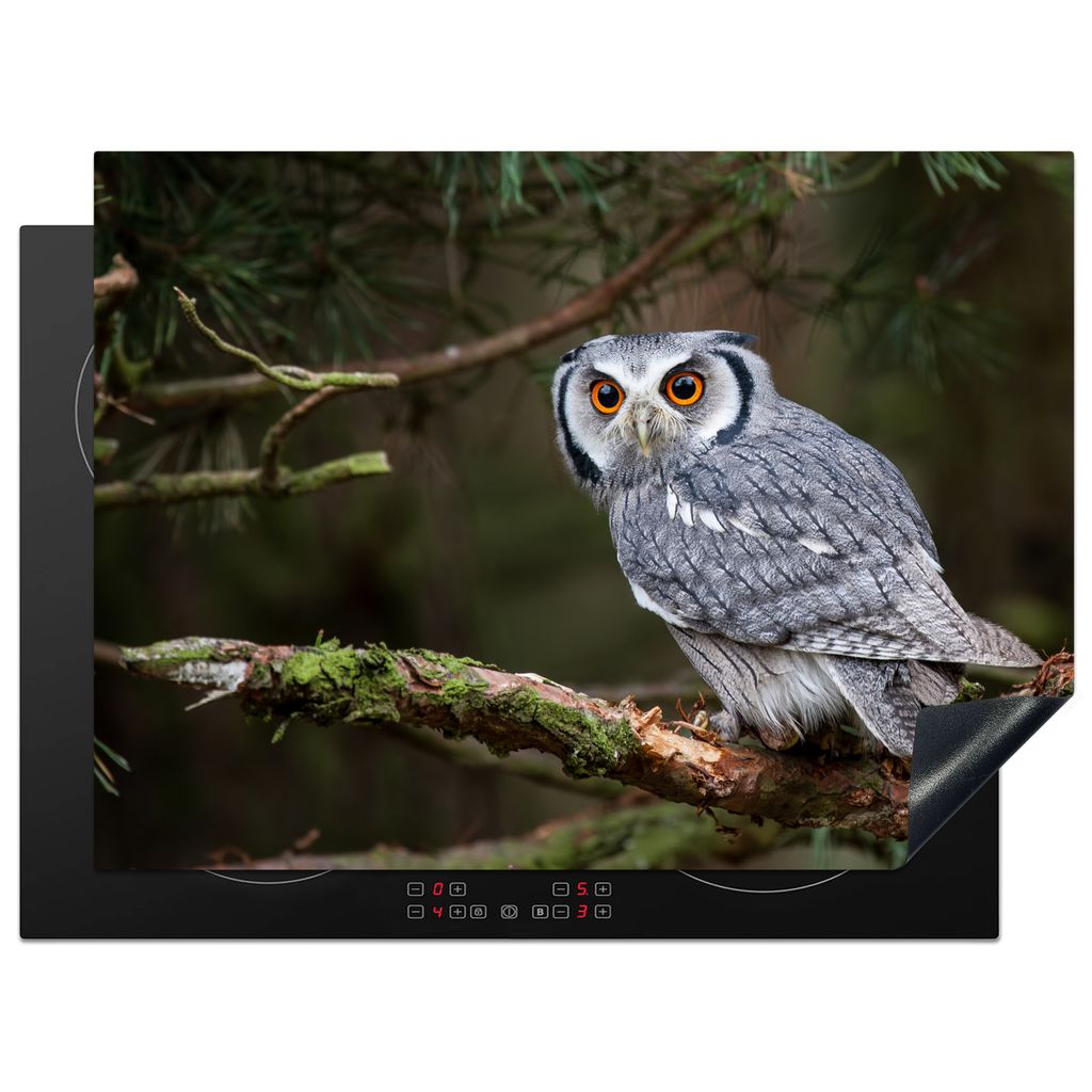 KitchenYeah Herdabdeckplatte Eule - Vogel - Äste - Natur , 71x52cm, Küche Deko, Glaskeramikkochfeld Herdabdeckung, Abdeckplatte fùr Kochfeld