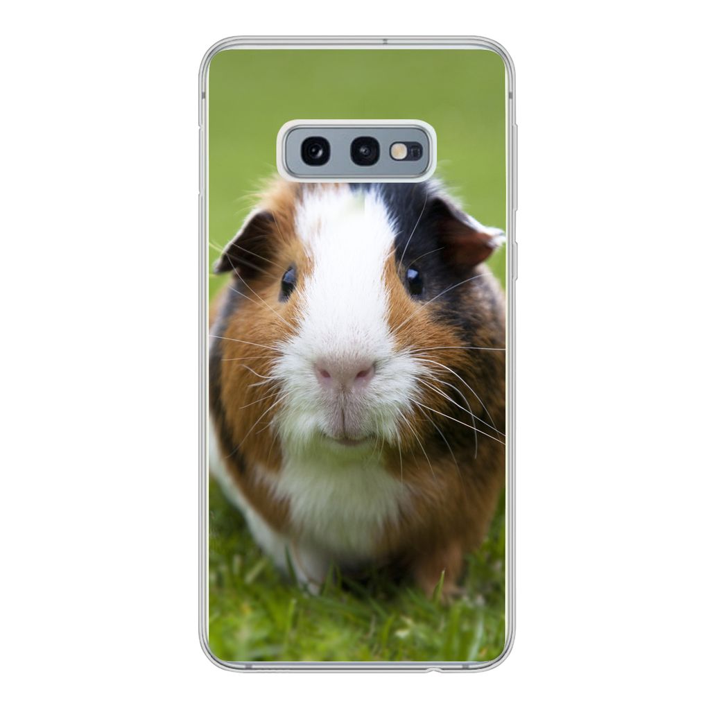 MuchoWow Handyhülle Schutzhülle Hülle für Samsung Galaxy S10e Zwei Meerschweinchen Silikon Softcase Handy Hülle - Handy