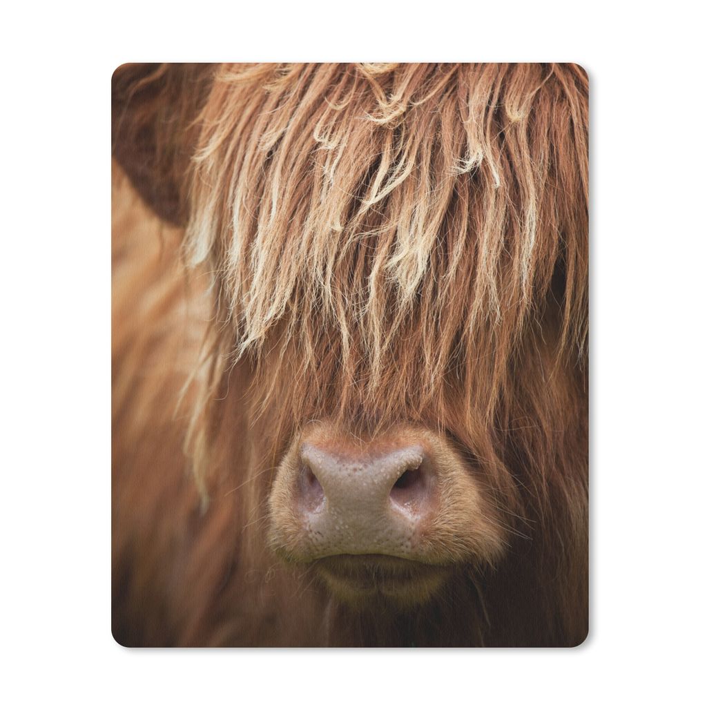 MuchoWow Mauspad Mousepad Schottischer Highlander - Nase - Haare 30x40 cm - Mousepads - Maus Mat - Pad - Mausunterlage - Mausmatten