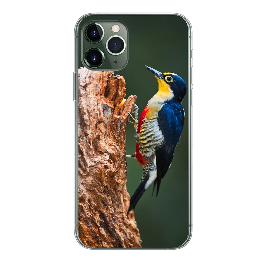 MuchoWow Handyhülle Schutzhülle Hülle für iPhone 11 Pro Nahaufnahme eines bunten Vogels auf der Seite eines Baumstamms Silikon Softcase Handy...
