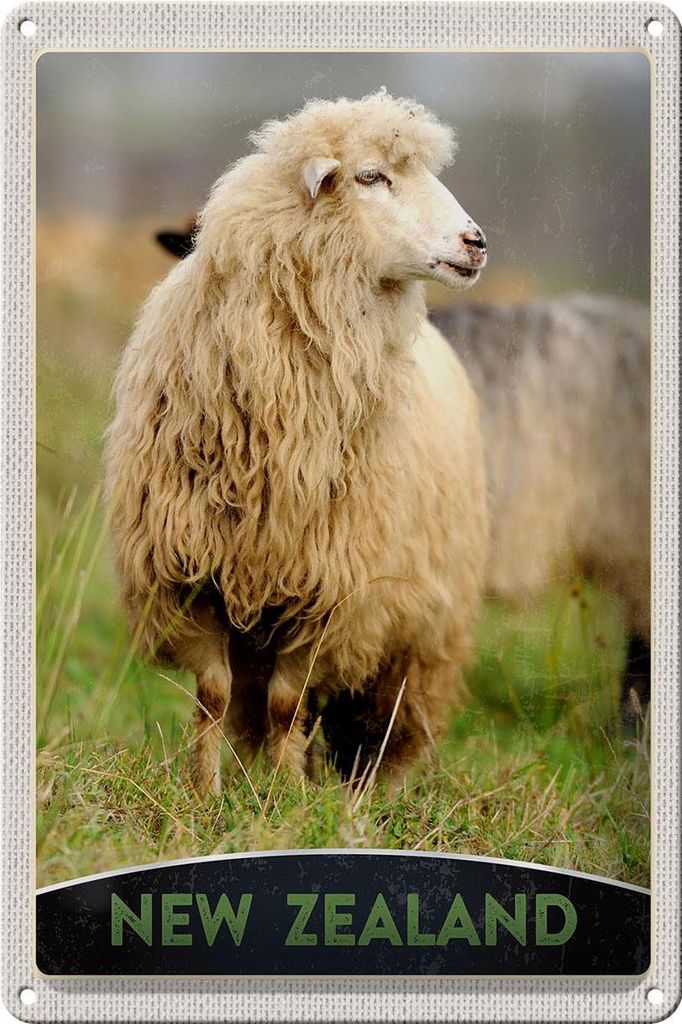 Blechschild Reise 20x30cm Neuseeland Europa Schaf Wiese Natur