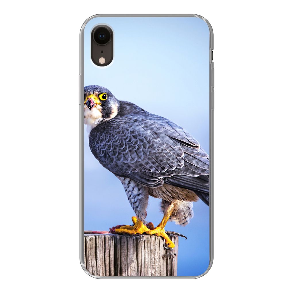 MuchoWow Handyhülle Schutzhülle Hülle für iPhone XR Nahaufnahme eines Raubvogels auf einer dicken Holzstange Silikon Softcase Handy Hülle - ...