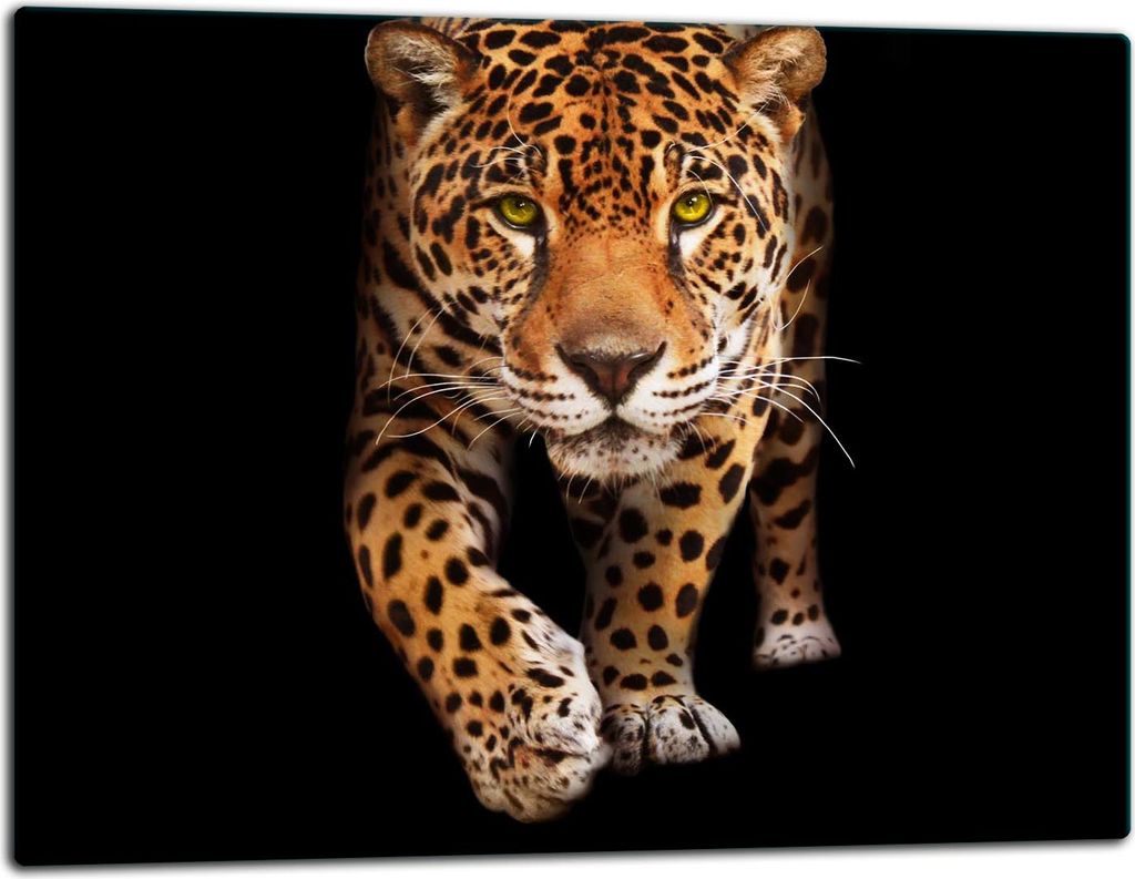 Glasschneidebrett Herdabdeckplatte Glaskeramikkochfeld Universal 52x40 cm Katze Schwarz