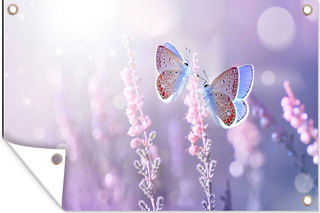 MuchoWow 60x40 cm Outdoor-Poster Gartendeko Sichtschutz Garten Poster für den Garten Schmetterling - Lavendel - Blumen - Lila