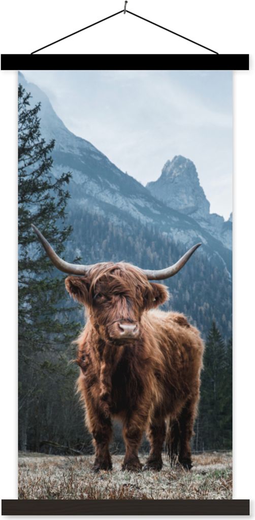 MuchoWow Textilposter Schottische Hochlandrind - Tiere - Landschaft 40x80 cm mit schwarzem Rahmen - Wandemalerei