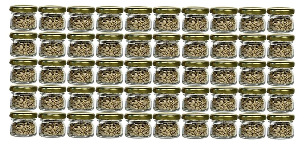 60er Set Mini Sturzgläser | Füllmenge 30 ml | Deckelfarbe Gold | Schraub-Deckel Rundgläser für Marmelade, Obst, Einwecken und Honig