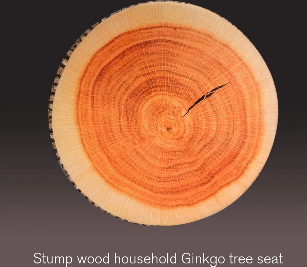 Cuscino Tronco Legno Divertente: Idea Regalo Originale per Casa