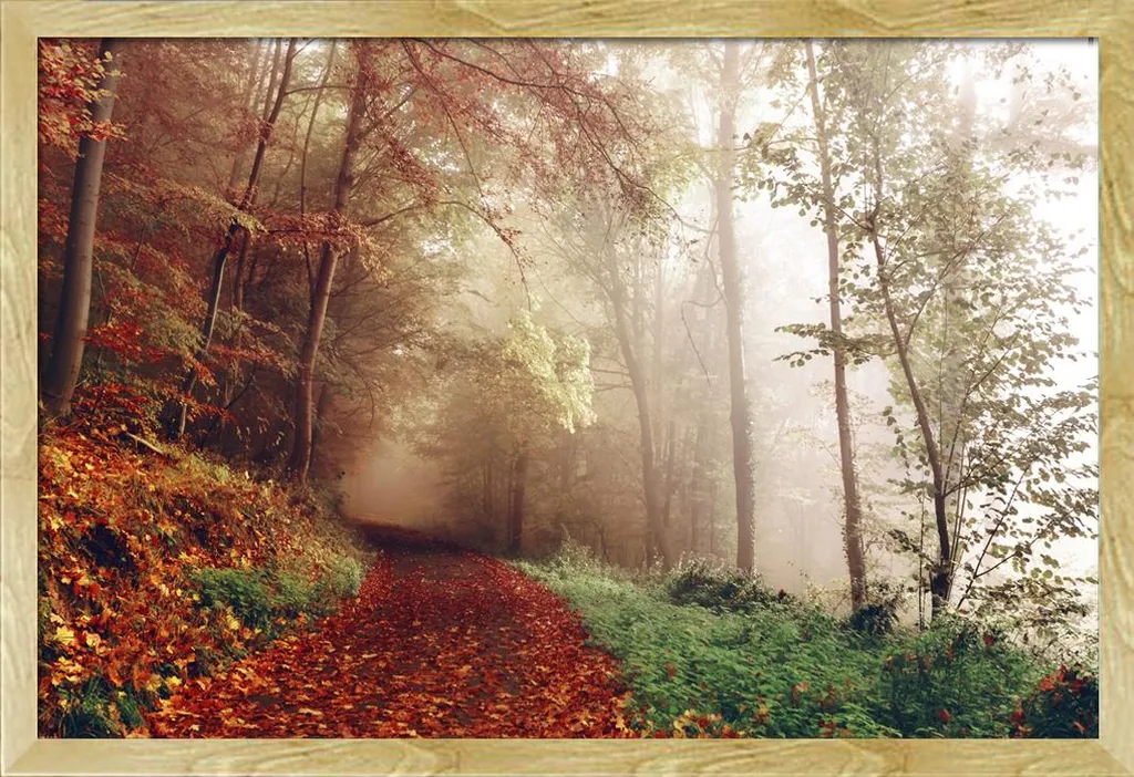 Poster Foresta Autunnale Estate Indiana con Cornice Faggio Shinsuke