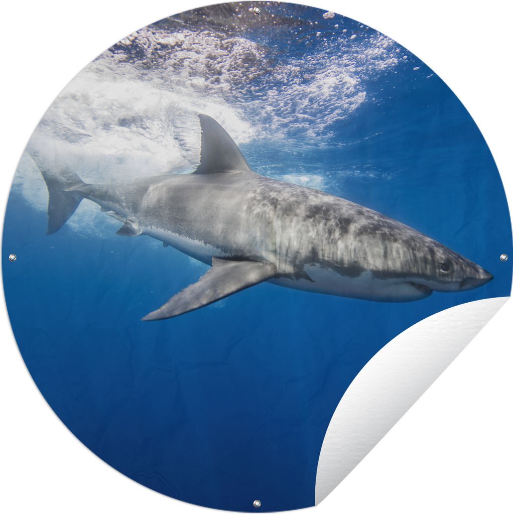 MuchoWow Gartenposter Outdoor-Poster Rund Hai - Meer - Wasser Ø 120 cm Gartendeko Rundes Poster draußen