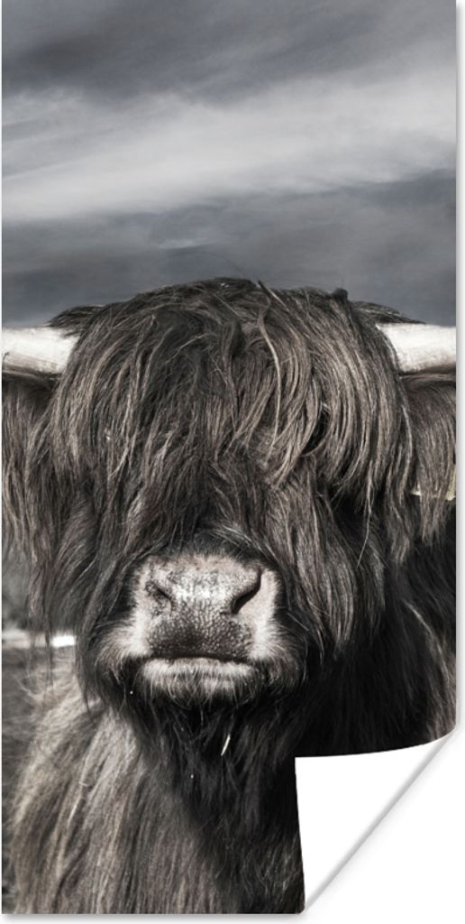 MuchoWow Poster Schottischer Hochländer - Porträt - Schwarz - Weiß - Tier - Wildnis - Natur 40x80 cm - Dekoration