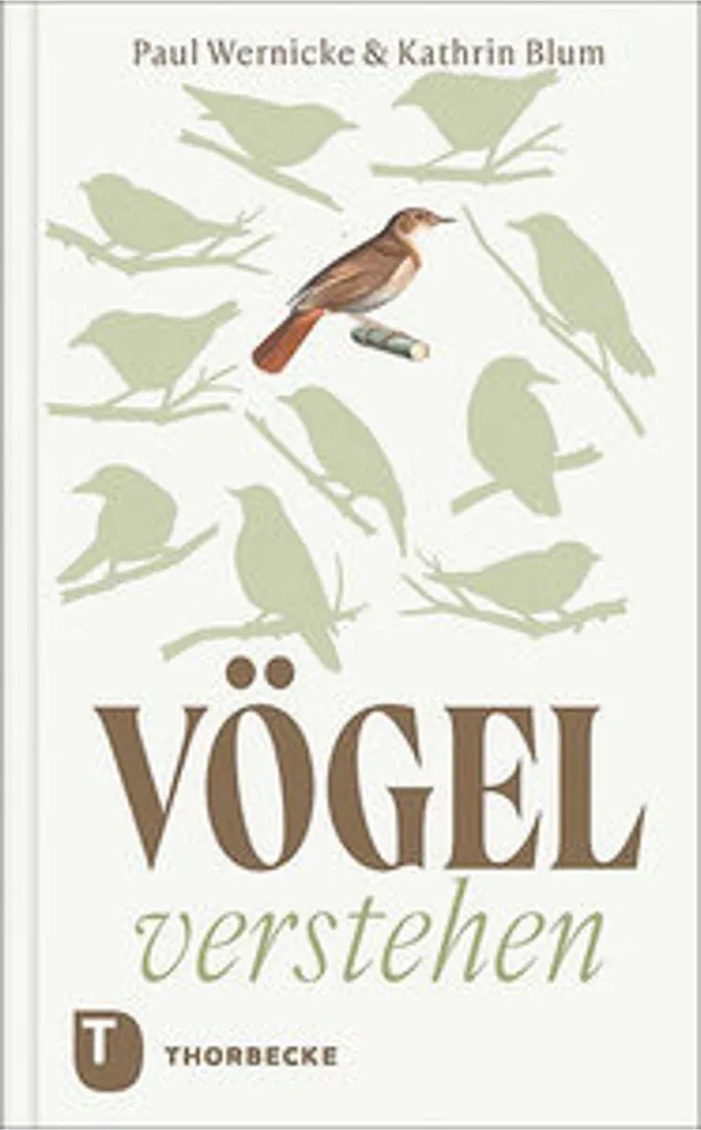 Observer les oiseaux en famille : guide Vögel verstehen spécial débutant