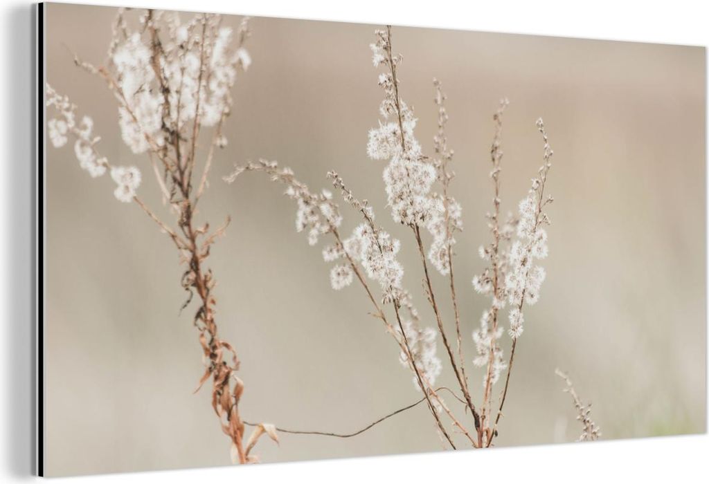 MuchoWow Wanddekoration Metall Metallbild Wandkunst 40x20 cm Blumen - Weiß - Pflanzen MuchoWow Aluminium Gemälde - Bild - Aluminium
