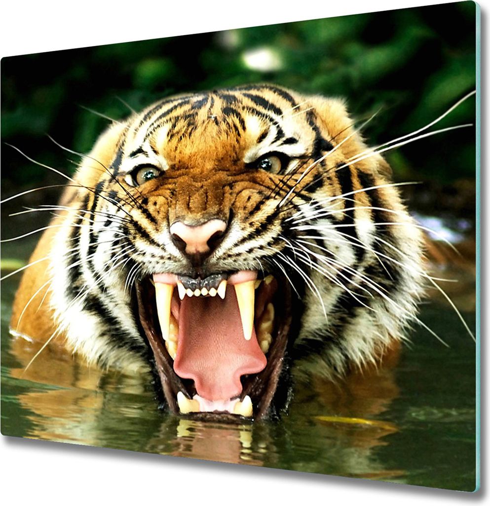 Glas Herdabdeckplatte 60x52 cm Spritzschutz Glasabdeckplatte Schneidebrett Brüllender Tiger