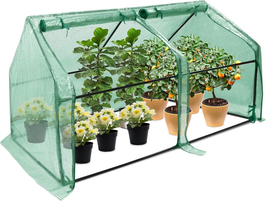 A small greenhouse with several potted plants inside, including flowering plants and plants with fruit.
