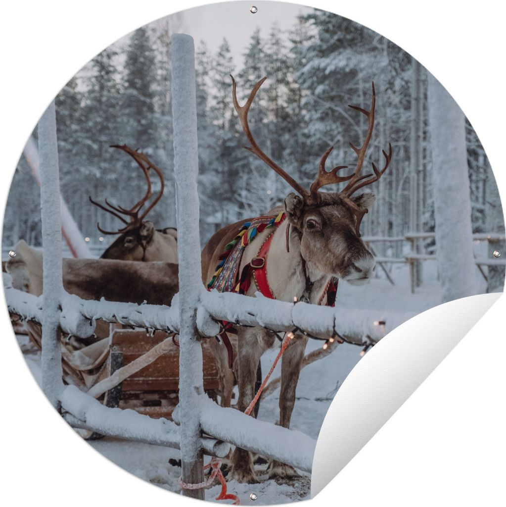MuchoWow Gartenposter Outdoor-Poster Rund Ein Rentier im Weihnachtsmanndorf in Finnland Ø 120 cm Gartendeko Rundes Poster draußen