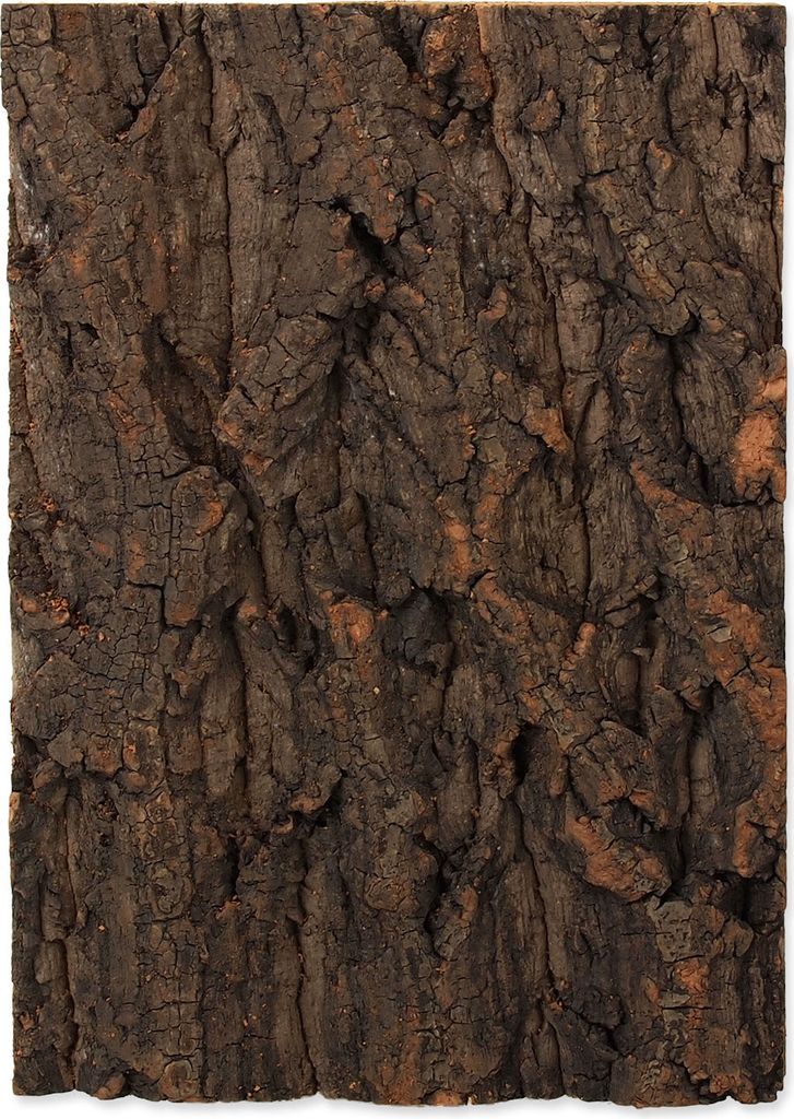 Repti Planet 007-54040, Holz, 1 Stück(e), 190 mm, 20 mm, 270 mm