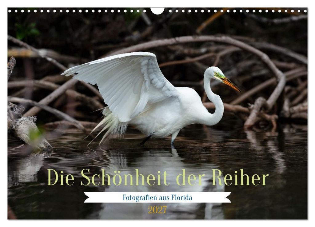 Die Schönheit der Reiher (Wandkalender 2027 DIN A3 quer), CALVENDO Monatskalender