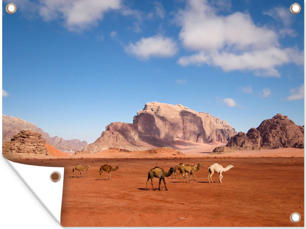 MuchoWow 40x30 cm Outdoor-Poster Gartendeko Sichtschutz Garten Poster für den Garten Eine Kamelherde wandert durch den roten Sand im Wadi Rum