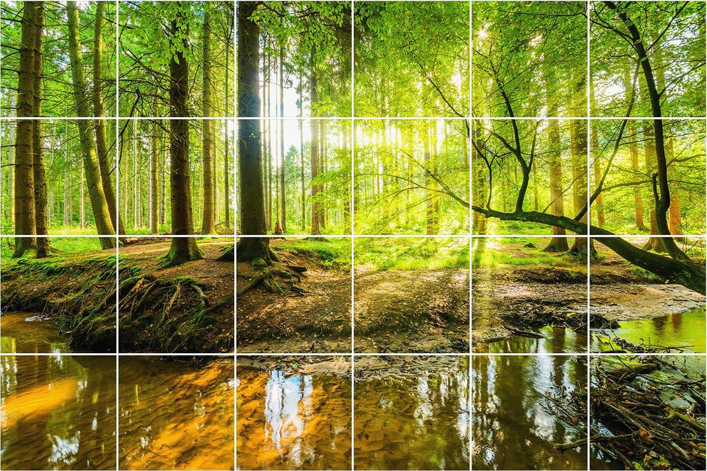 Fliesenaufkleber 20x20 cm – 24 Stück – Selbstklebend – Wasserfest – Pflegeleicht – Hitzebeständig – Für Küche & Bad – Waldlandsch...