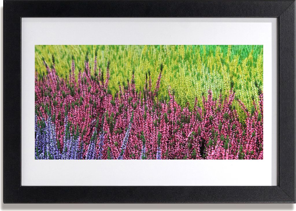 Bild 30x20 MDF-Rahmen Wandkunst Natur Blume Pflanze