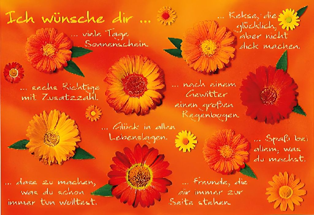 Cartolini Klappkarte mit Sprüchen 042