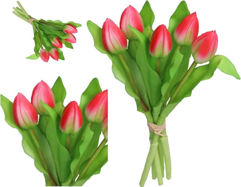 Tulpen Bouquet Von Tulpen Gummi Abgedeckt Wie Das Leben