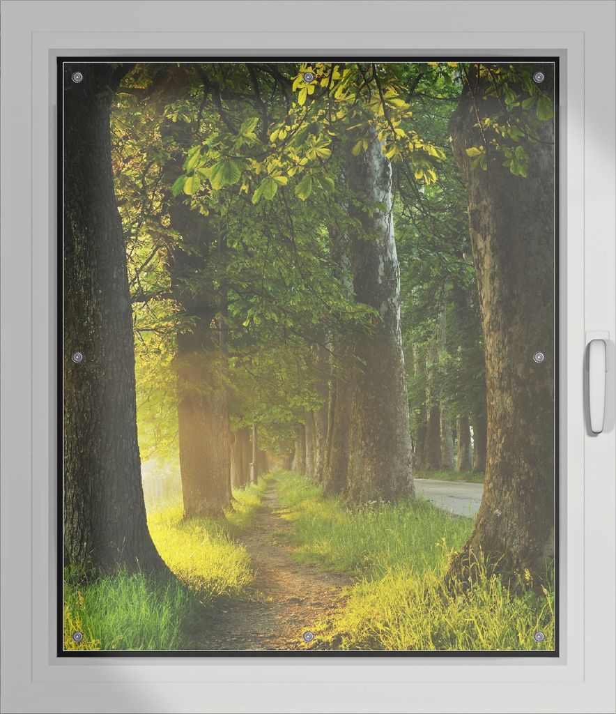 Wallario Lichtschutzbild, Dekorativer Sichtschutz Sonnenschutz 96 x 115 cm mit Motiv: Allee bei Sonnenuntergang - Verdunklung ohne Bohren