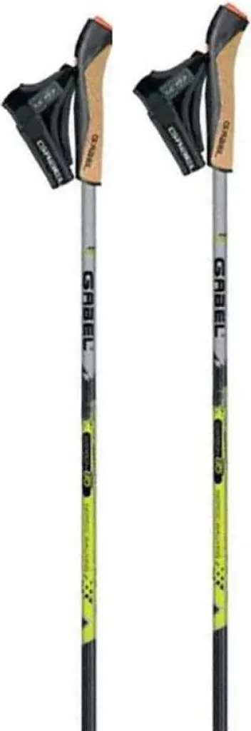 Fourche X-5 Bâtons Argent 115 cm pour Ski Alpin Hommes et Femmes