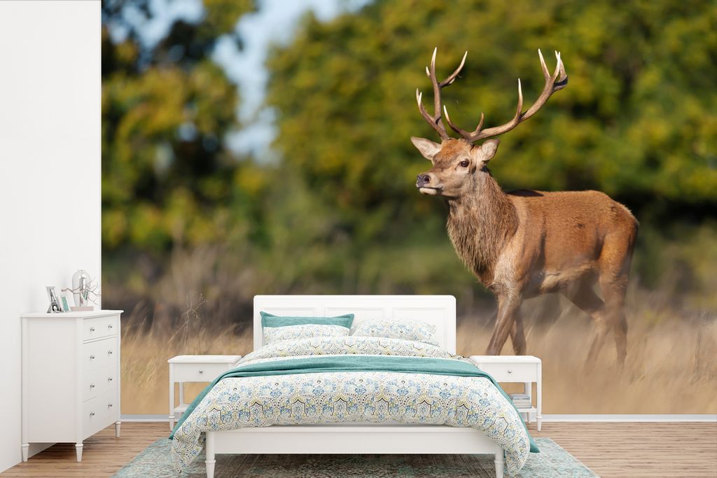 MuchoWow Fototapete für Wohnzimmer oder Schlafzimmer Wandtapete Vinyl Motivtapete Tiere - Hirsche - Geweihe - Waldtiere - Natur - 330x220 cm - F...
