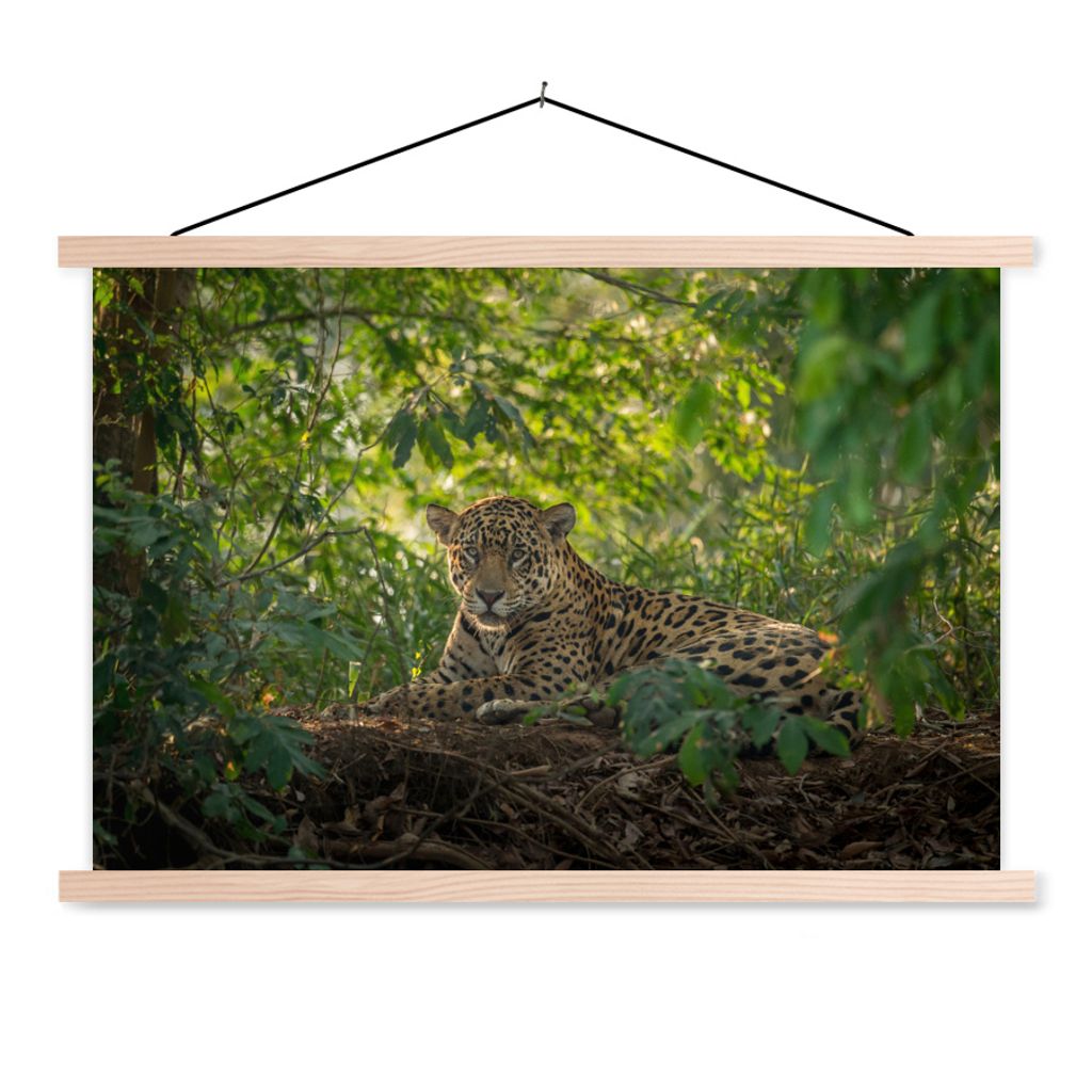 MuchoWow Textilposter Jaguar im Dschungel 60x40 cm mit holzfarbenen Rahmen - Bilder