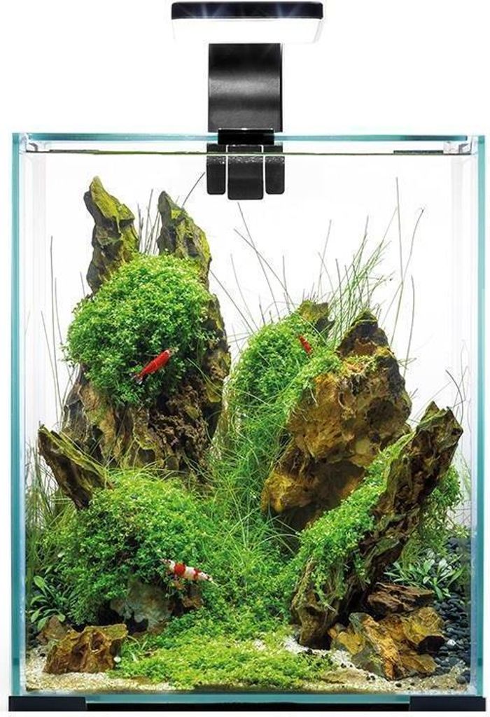 Akvarijní set AQUAEL SHRIMP SET D&N 10 černý 10 l Obrázek produktu 9