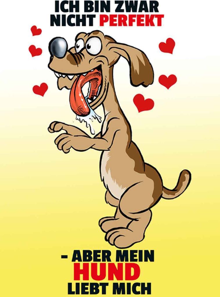 vianmo Holzschild 30x20 cm Nicht perfekt aber Hund liebt mich Schiild Spruch Zitat
