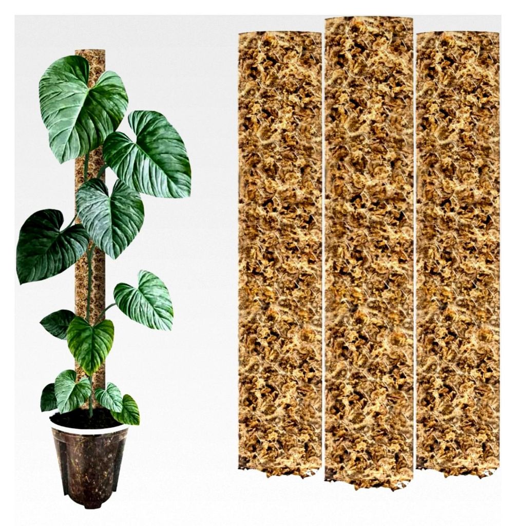 Moosstab 53 cm (XL) / 3 Stück / Klar | Pflanzenstab | Moosstange erweiterbar | Moosstäbe | Plant Pole Indoor | Moosstab für Monstera