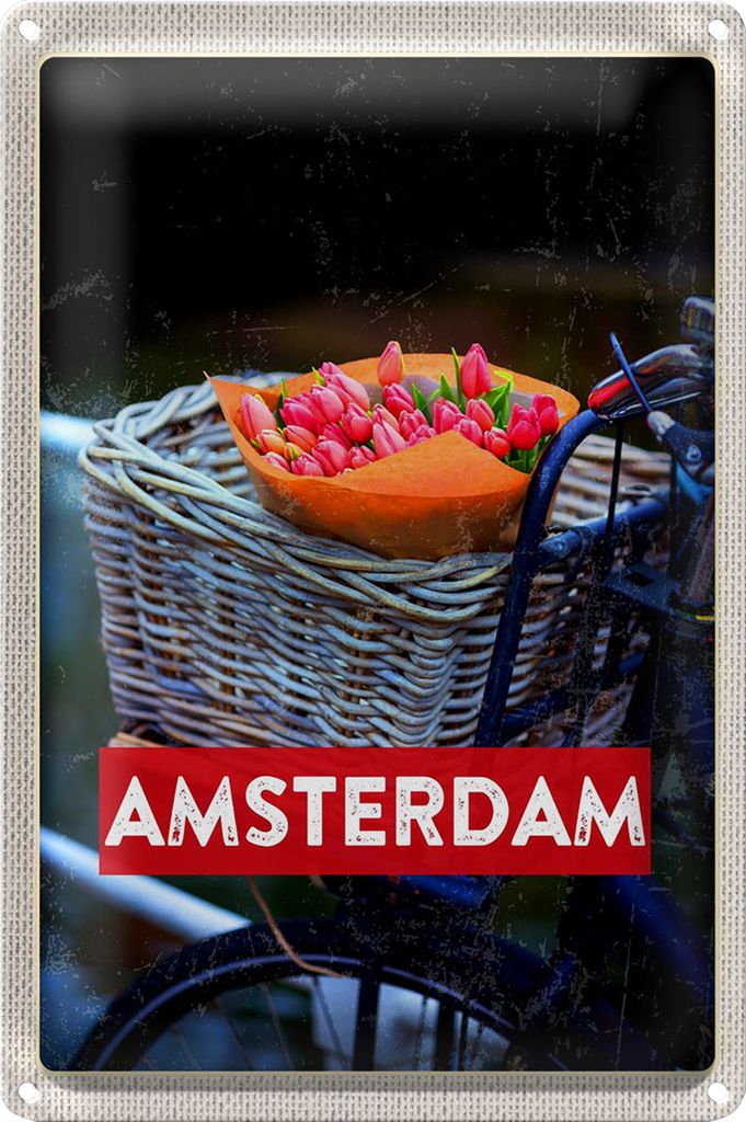 Blechschild Reise 18x12cm Retro Amsterdam Tulpen Fahrrad