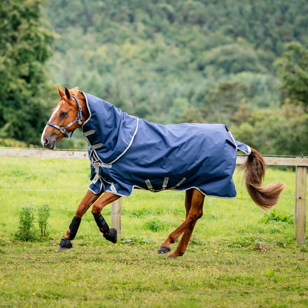 Horseware Amigo Bravo 12 Plus Bundle 50g + 100g und 200g Produktbild 