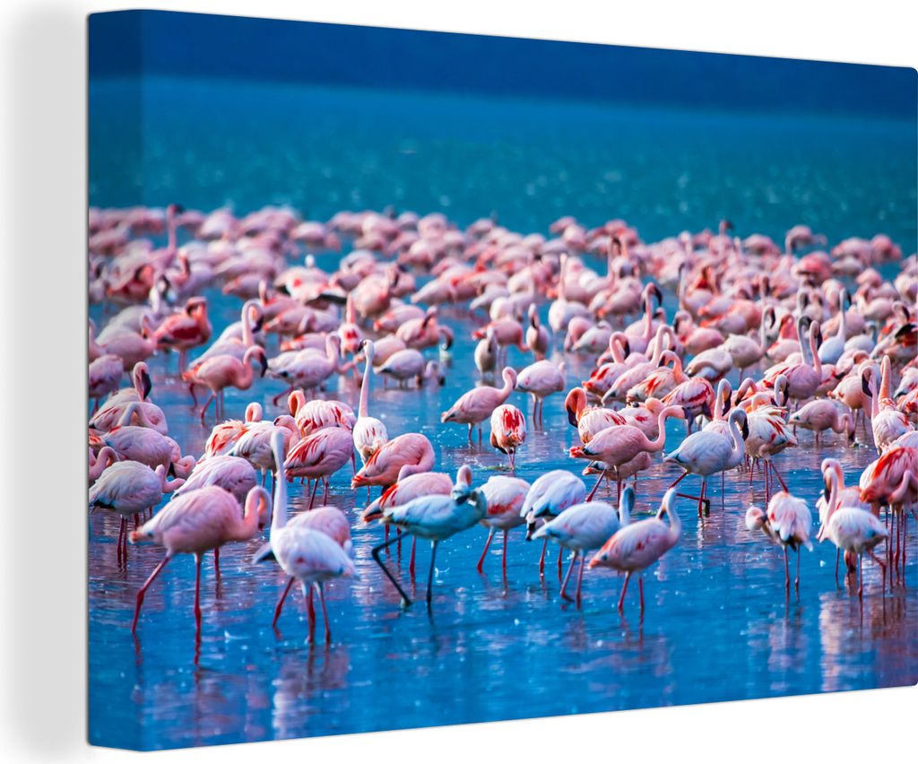 OneMillionCanvasses - Leinwandbilder - 140x90 cm, Flamingo - Wasser - Tropisch - Rosa, Wandbilder Kunstdruck Wanddekoration - Foto auf Leinwand -...