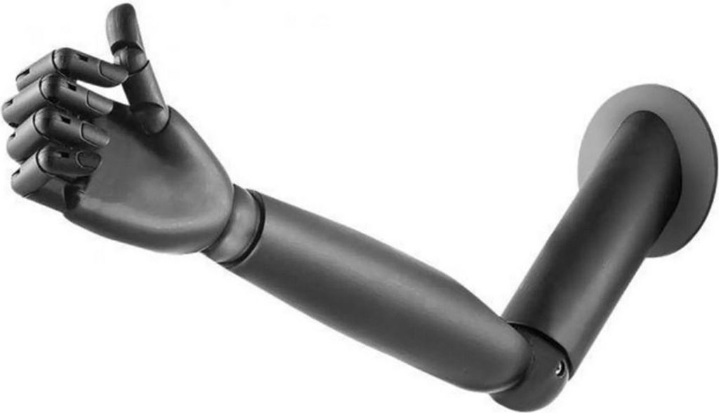 LeuchtenDirekt Wandleuchte Hold It Arm Schwarz verstellbar Produktbild 
